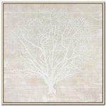 Sea Lace II Wall Art - White - 30 X 30