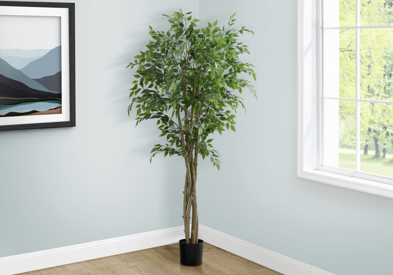 79" Ficus Tree With 8" Black Pot - Green
