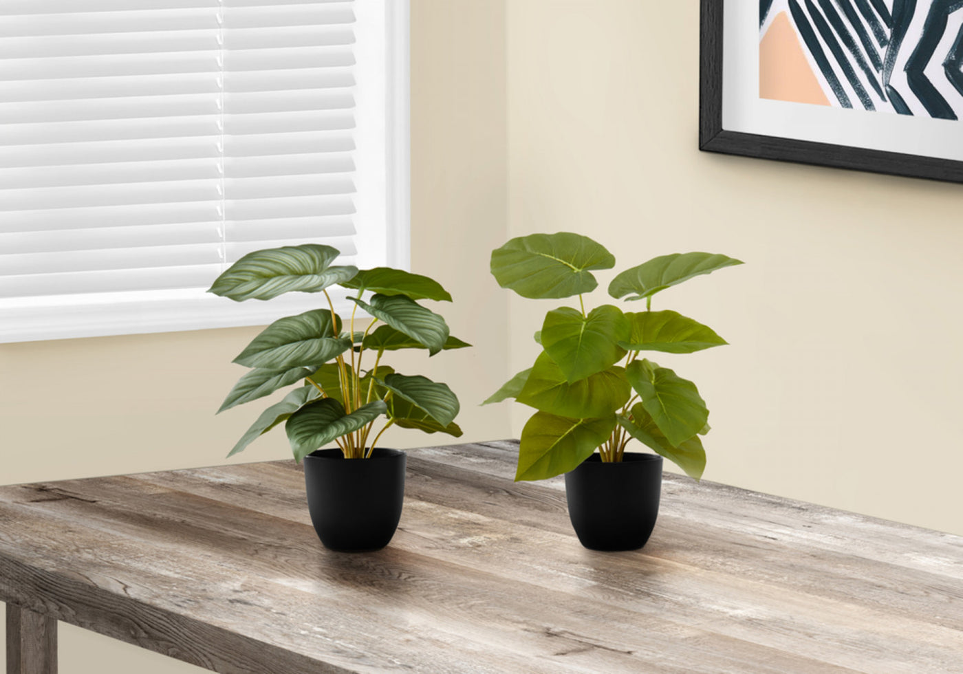 13" Epipremnum Plant With 4" Black Pot - Green - Set Of Two