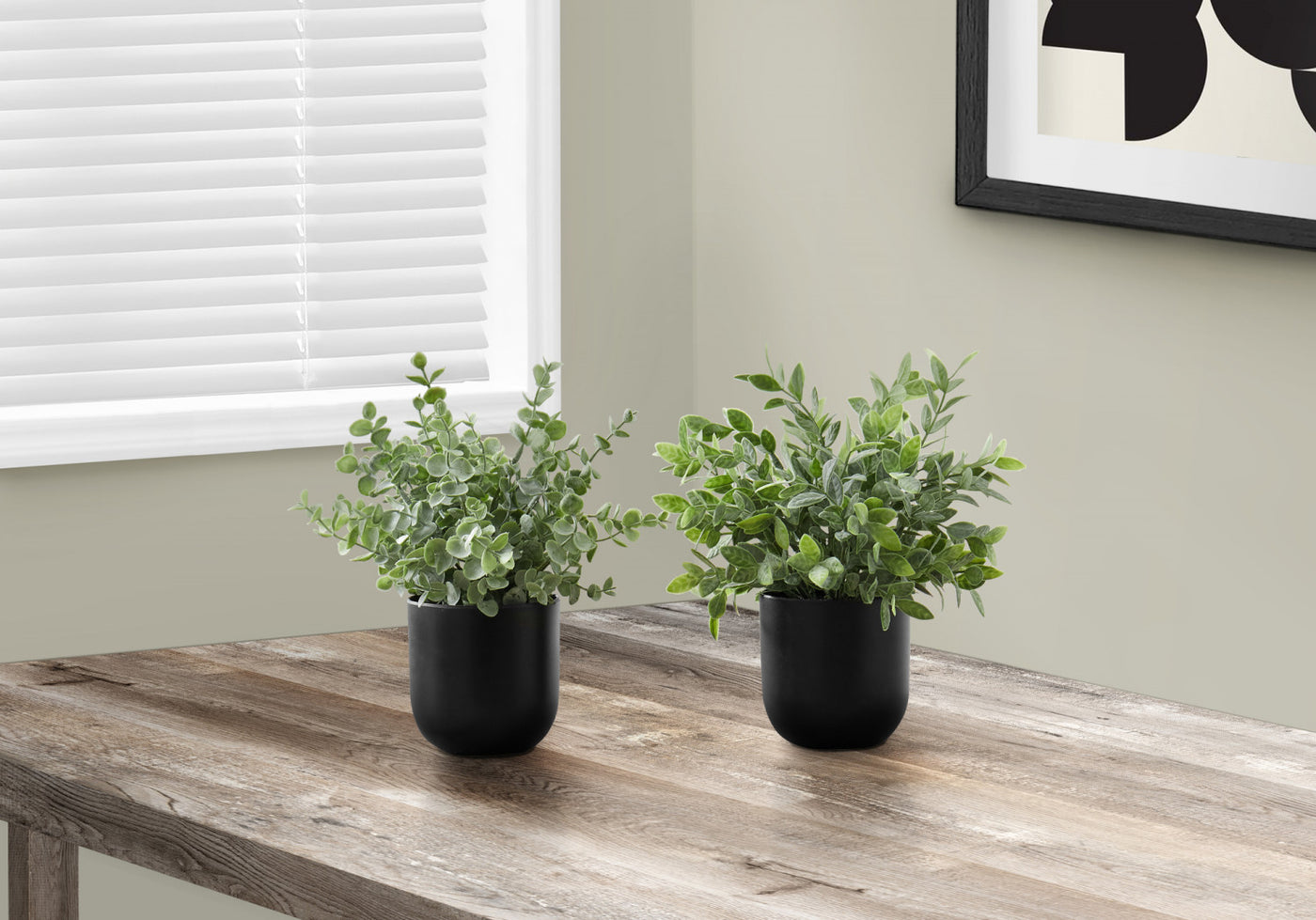 11" Eucalyptus Grass Plant With 5" Black Pot - Green - Set of Two