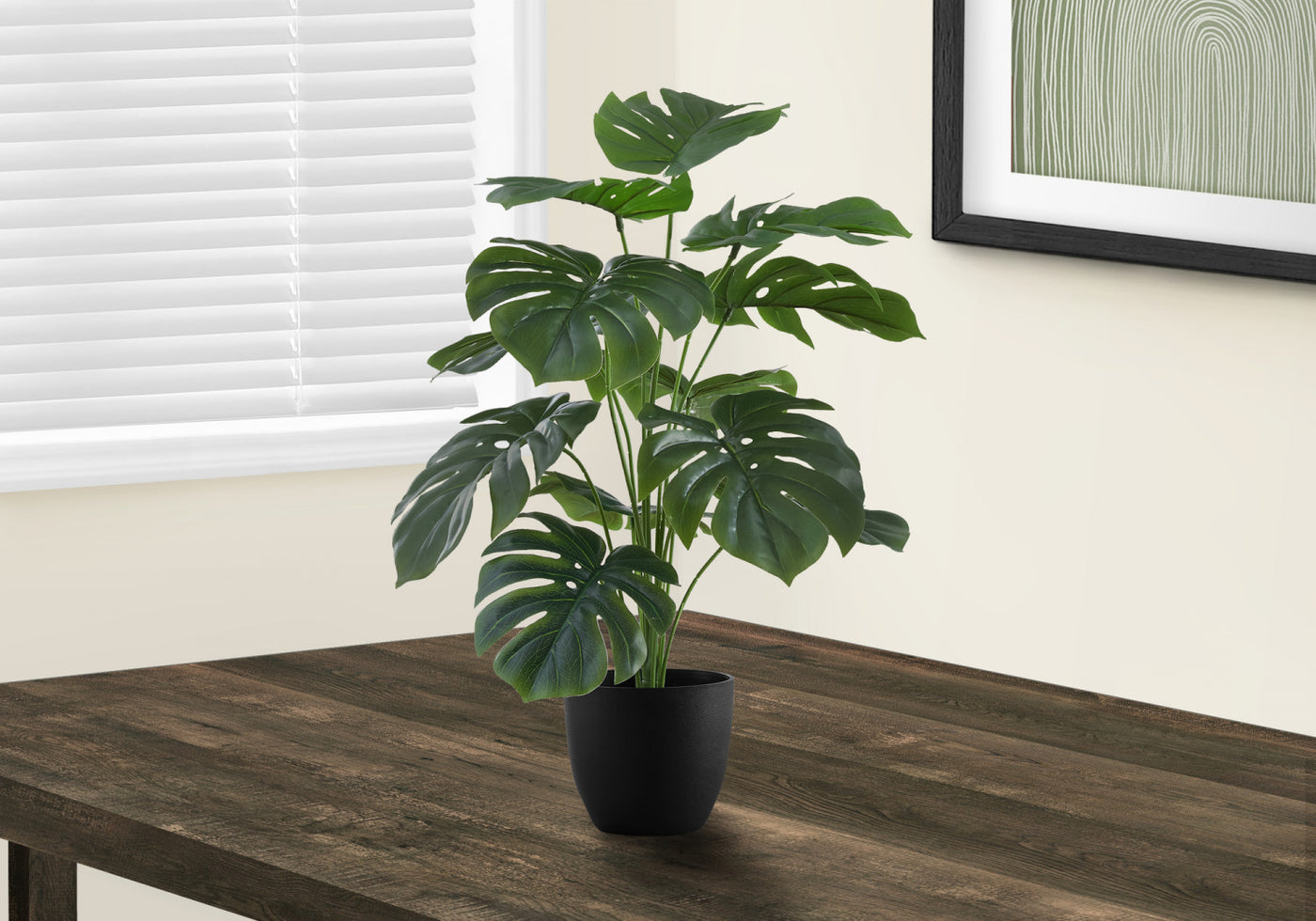 24" Monstera Plant With 5" Black Pot - Green