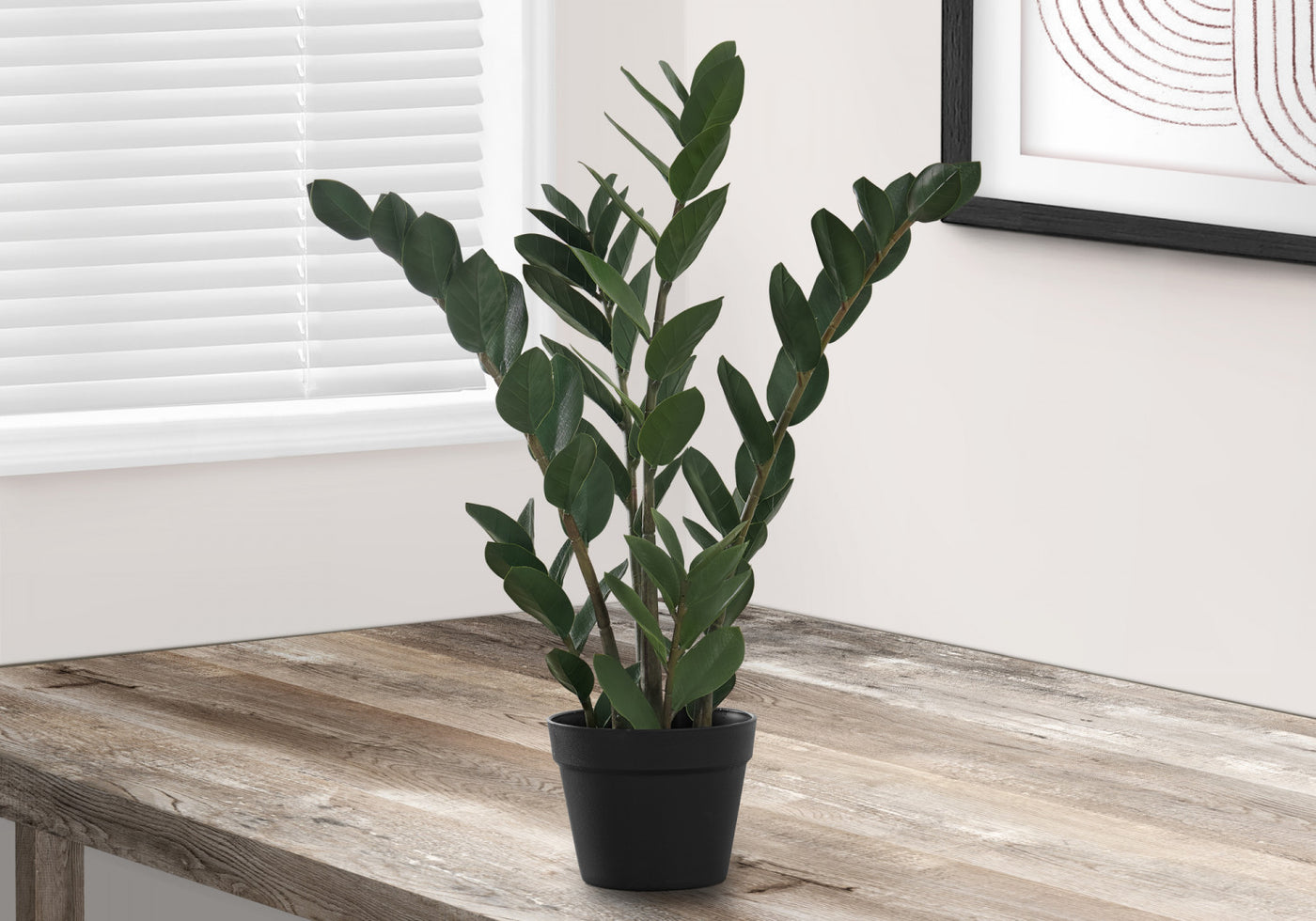 29" ZZ Plant With 6" Black Pot - Green
