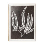 Free Spirit Fern Leaf Canvas Wall Art - Brown, White