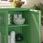 Channing 2 Door Storage Cabinet with Mesh Metal - Kelly Green