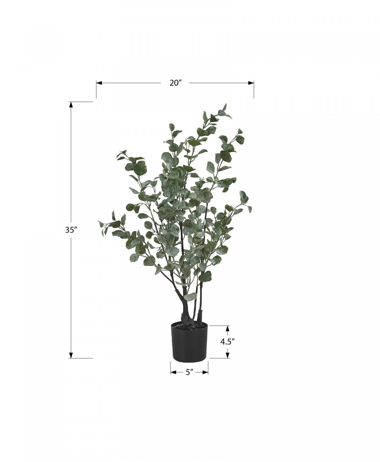 35" Eucalyptus Plant With 5" Black Pot - Green