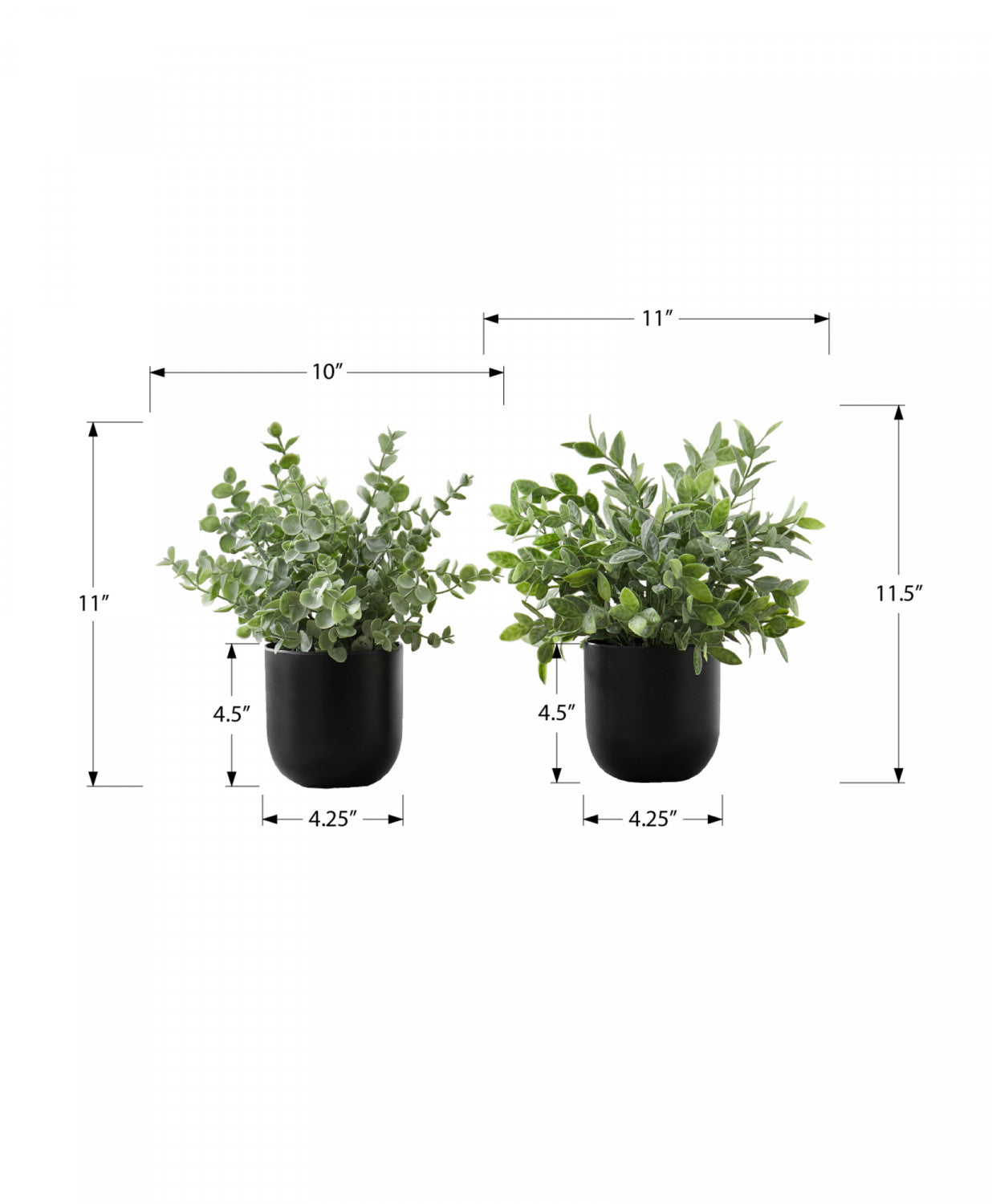 11" Eucalyptus Grass Plant With 5" Black Pot - Green - Set of Two