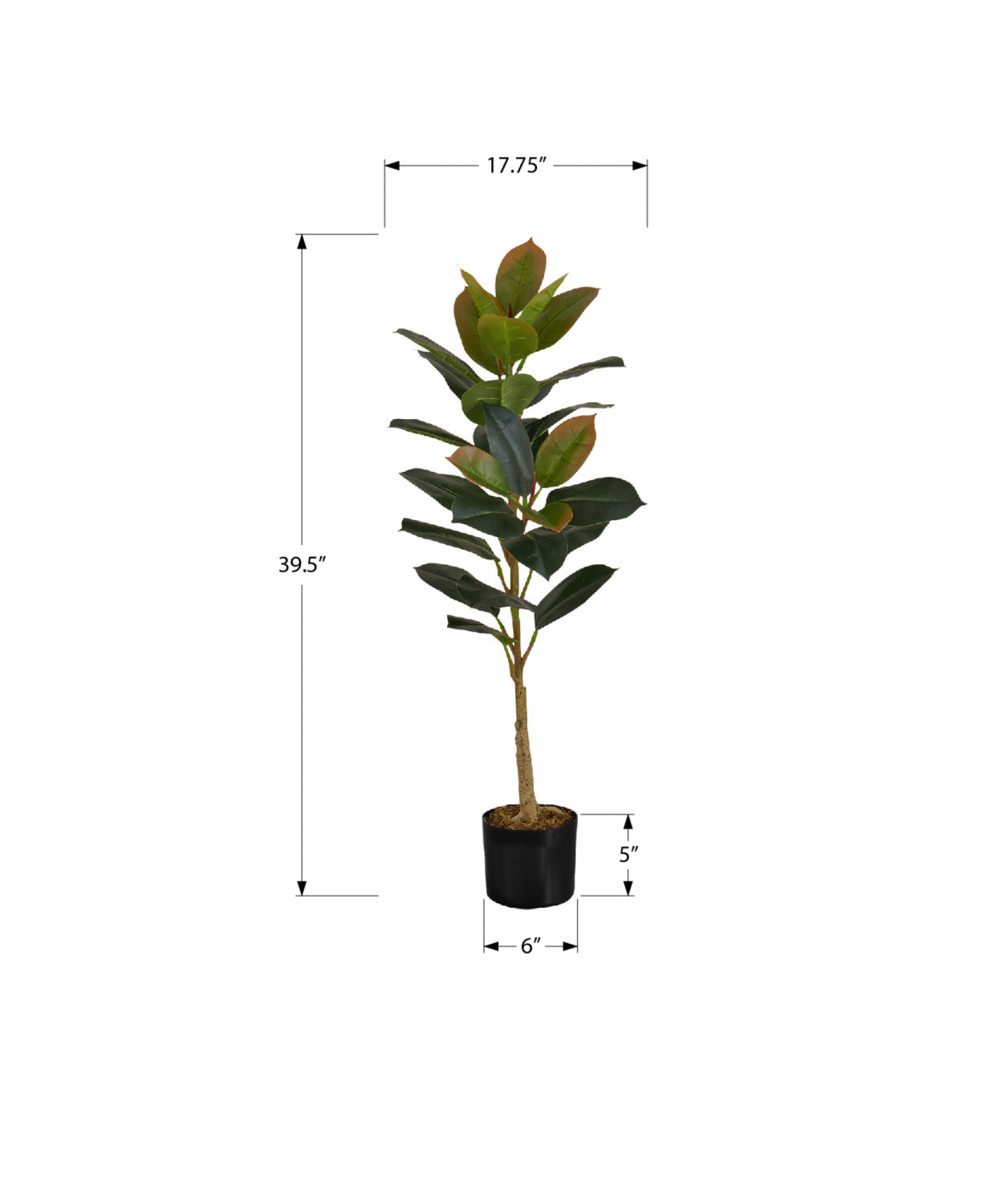 40" Rubber Tree With 5" Black Pot - Green