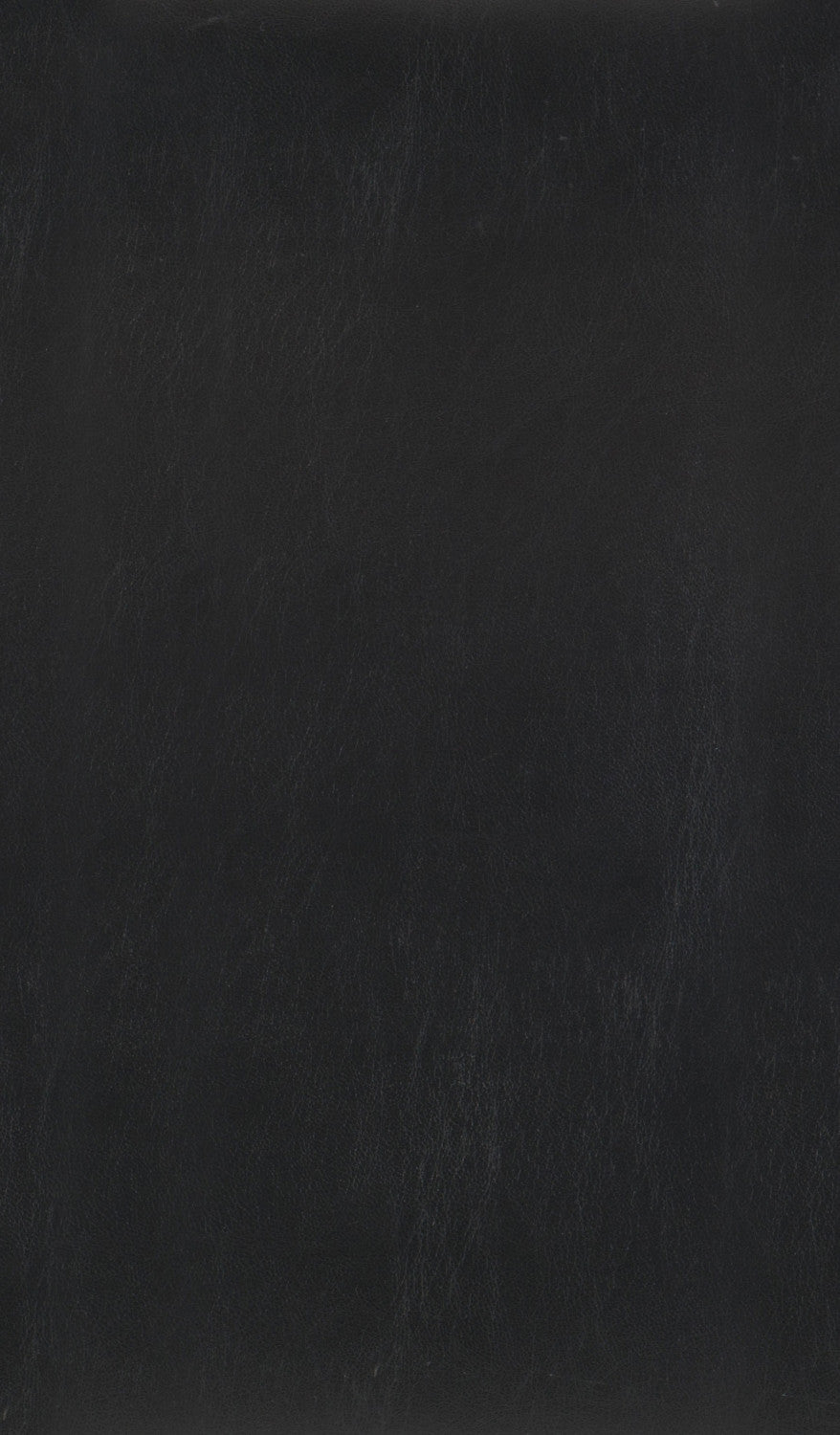 Westby Dining Stool - Black - Set of Two