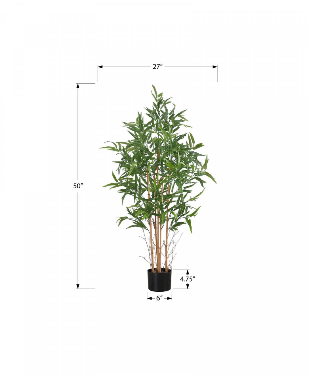 50" Bamboo Tree With 5" Black Pot - Green