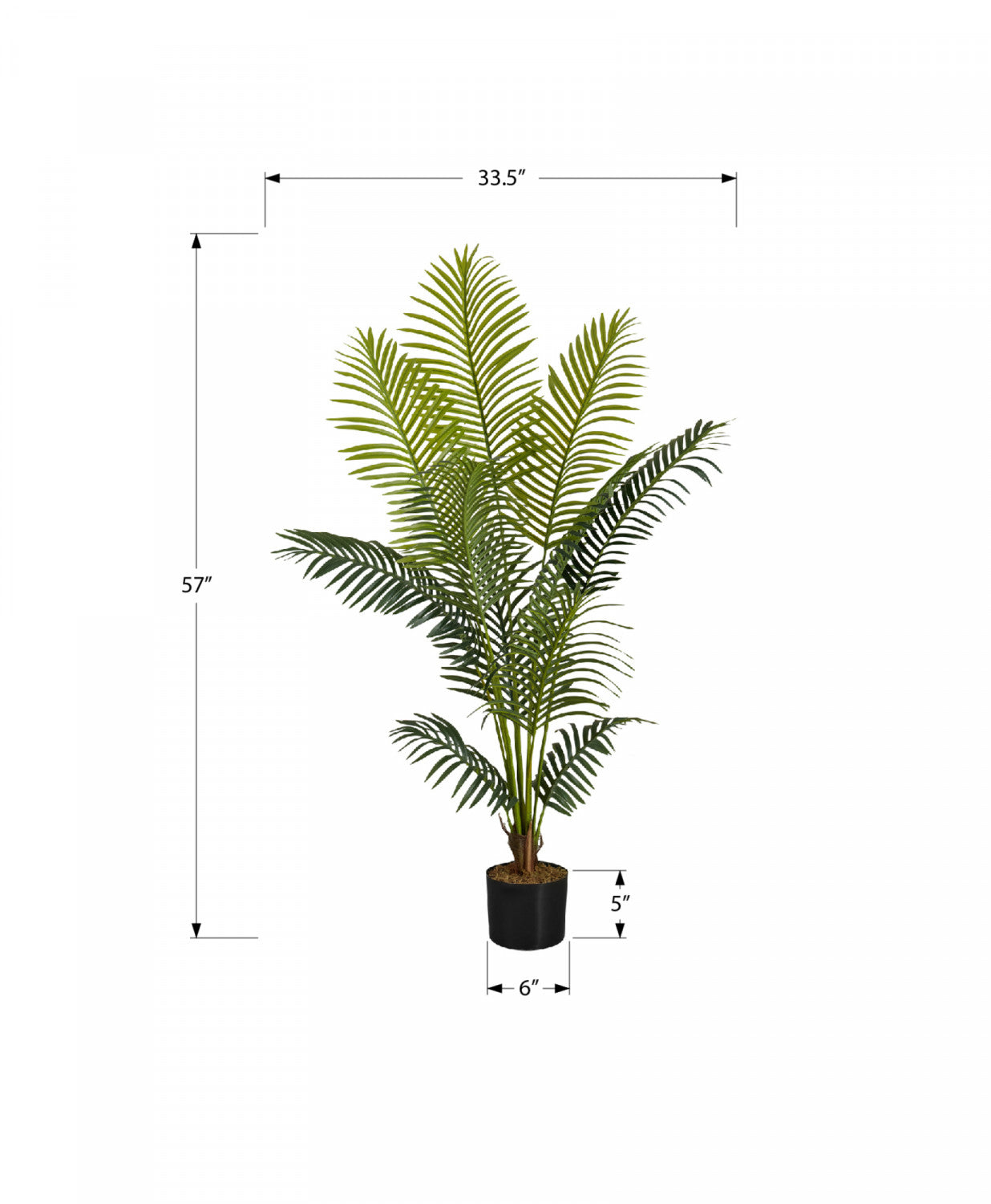 47" Palm Tree With 5" Black Pot - Green