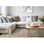 Halle Casual Contemporary Trellis Area Rug - Greige Cream - 8' X 11'