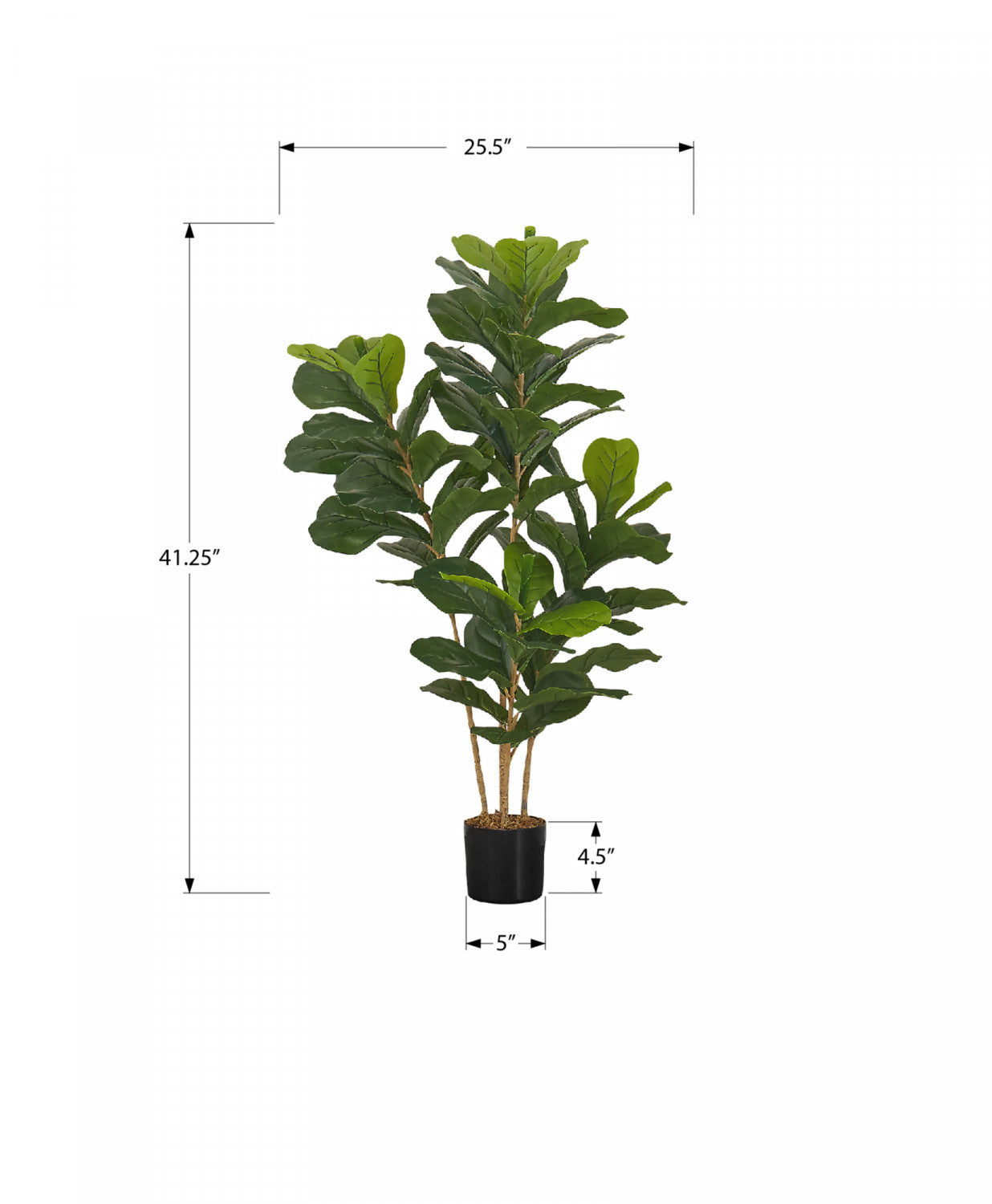 41" Fiddle Tree With 5" Black Pot - Green