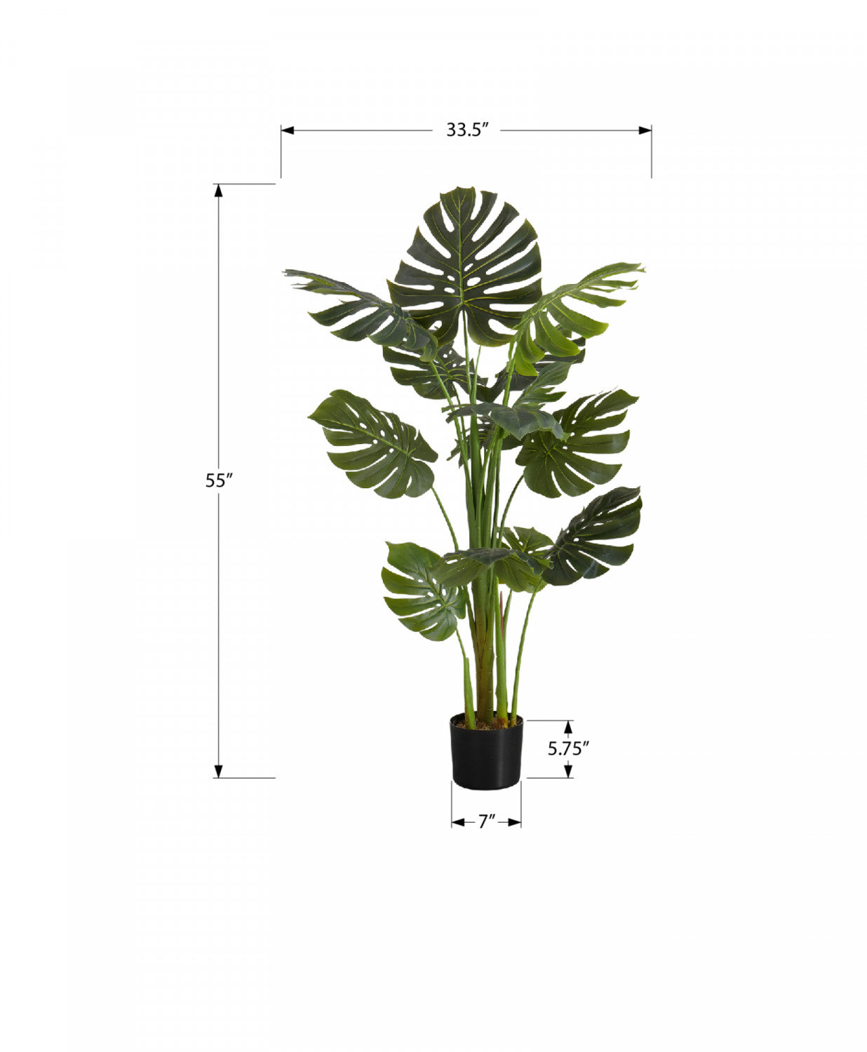 55" Monstera Plant With 6" Black Pot - Green
