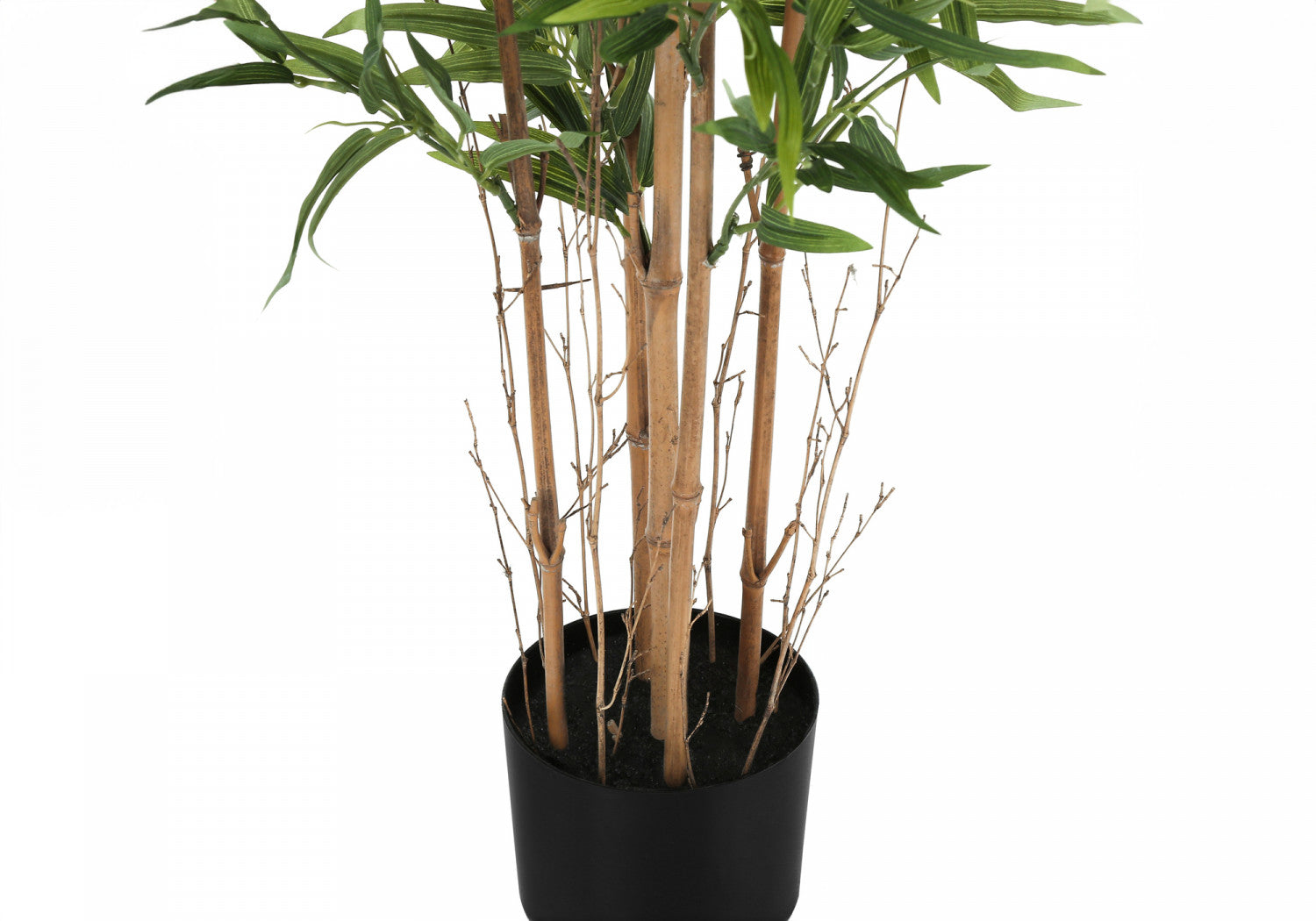 50" Bamboo Tree With 5" Black Pot - Green