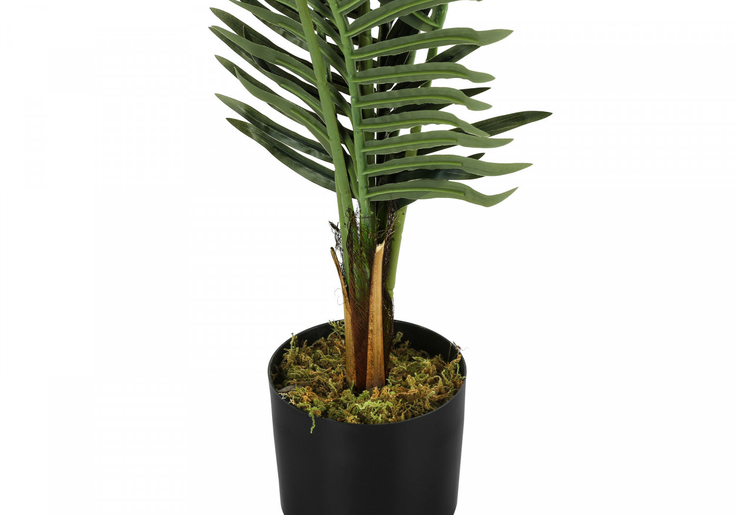 47" Palm Tree With 6" Black Pot - Green