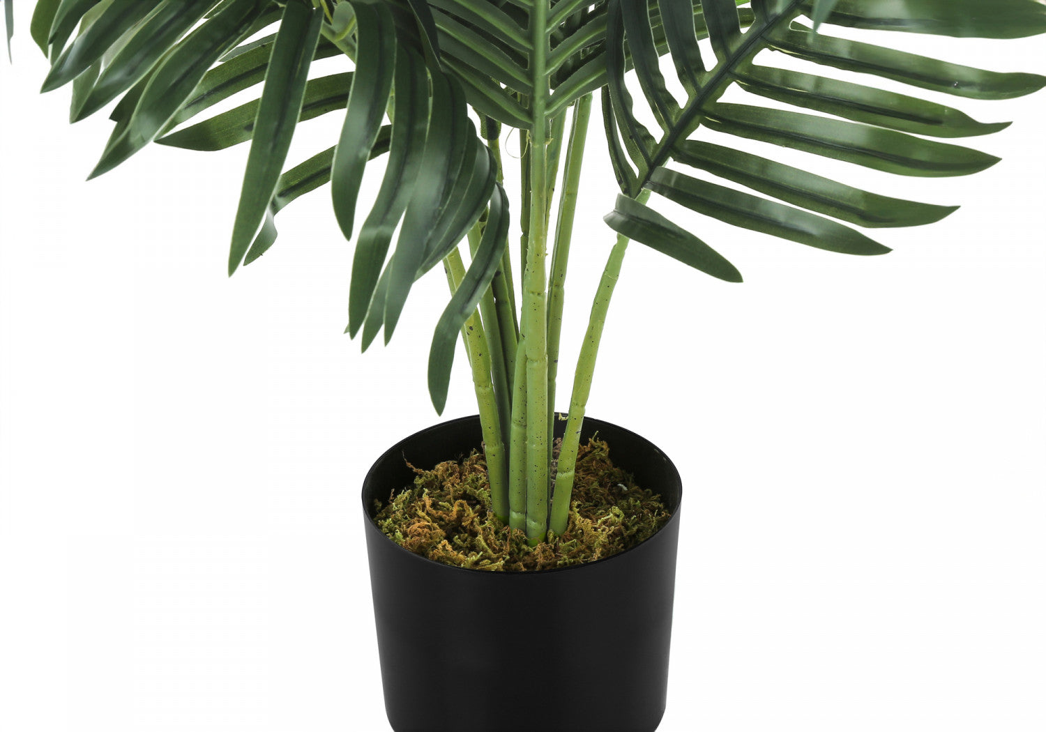 34" Palm Tree With 5" Black Pot - Green