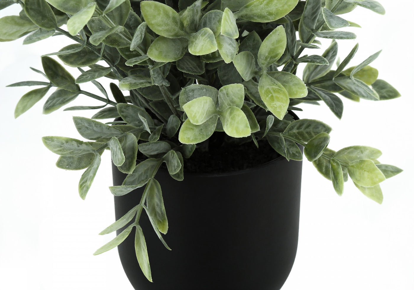 11" Eucalyptus Grass Plant With 5" Black Pot - Green - Set of Two