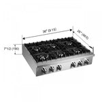 Forno Cossato Stainless Steel 36" Pro-style Gas Cooktop - FCTGS5737-36