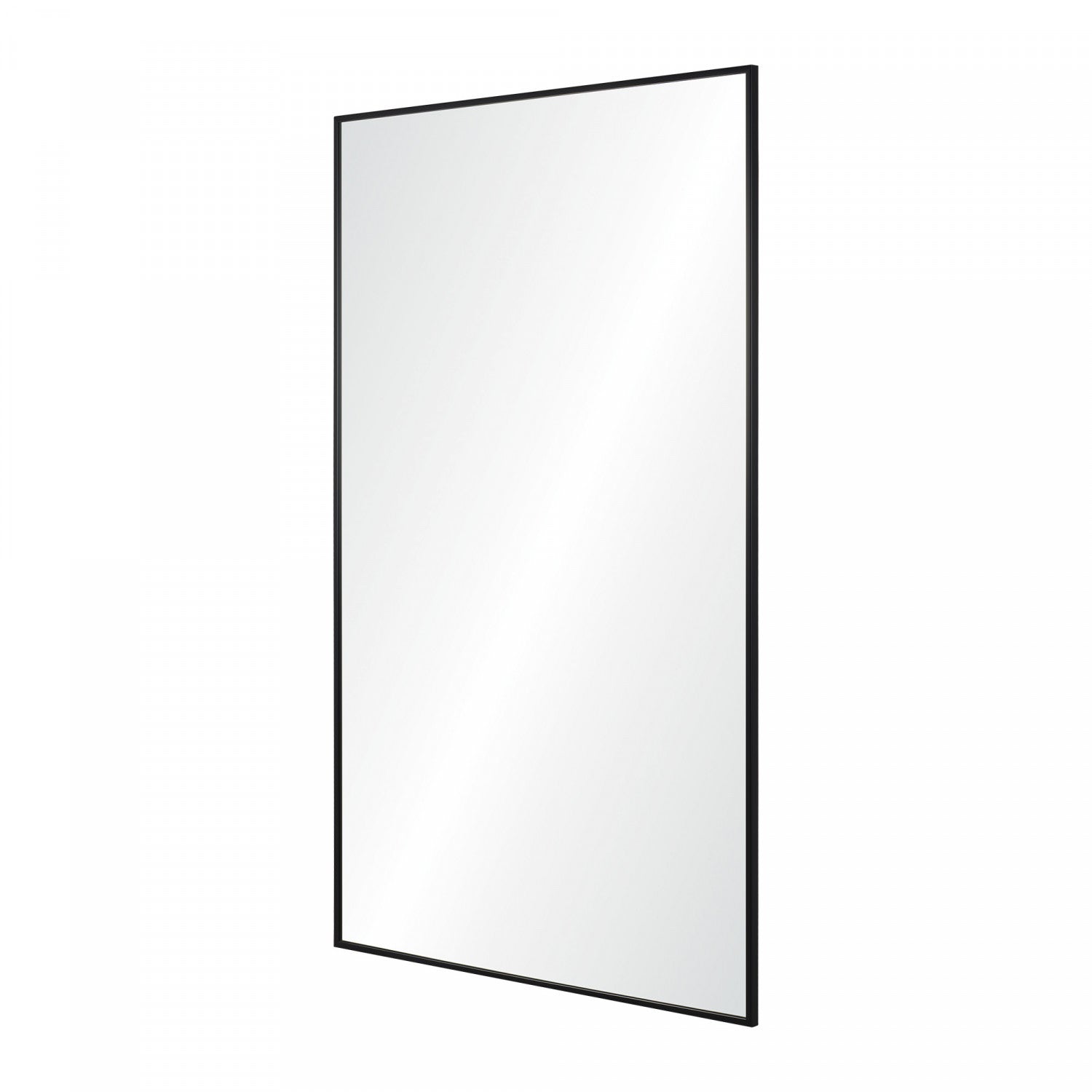 Eryx Accent Mirror - Black