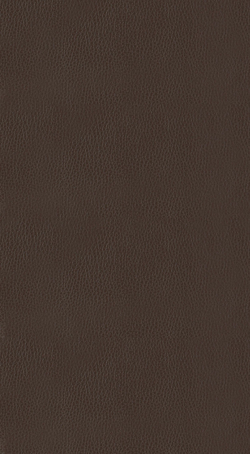 Ordway Dining Stool - Brown