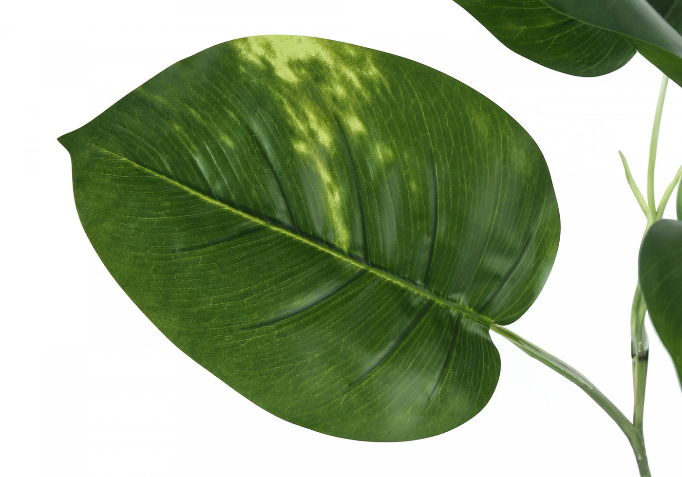 54" Dieffenbachia Tree With 6" Black Pot - Green
