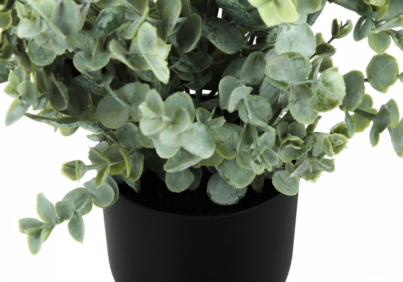 11" Eucalyptus Grass Plant With 5" Black Pot - Green - Set of Two