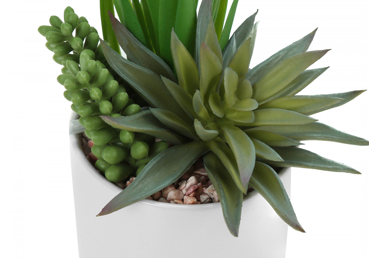 7" Succulent Plant with 3" White Pot - Green - Set of Two