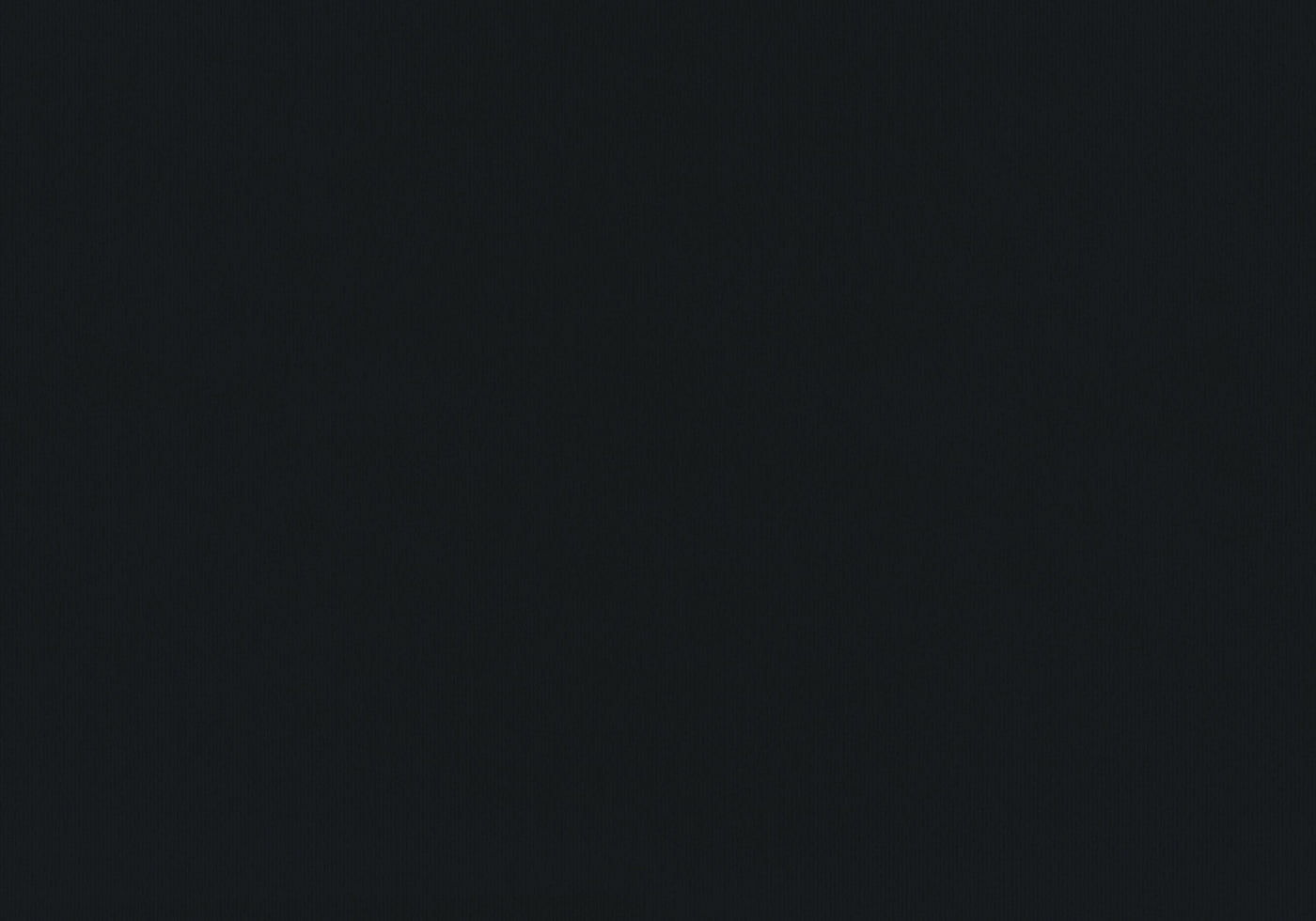 Felicity Twin Bed - Black