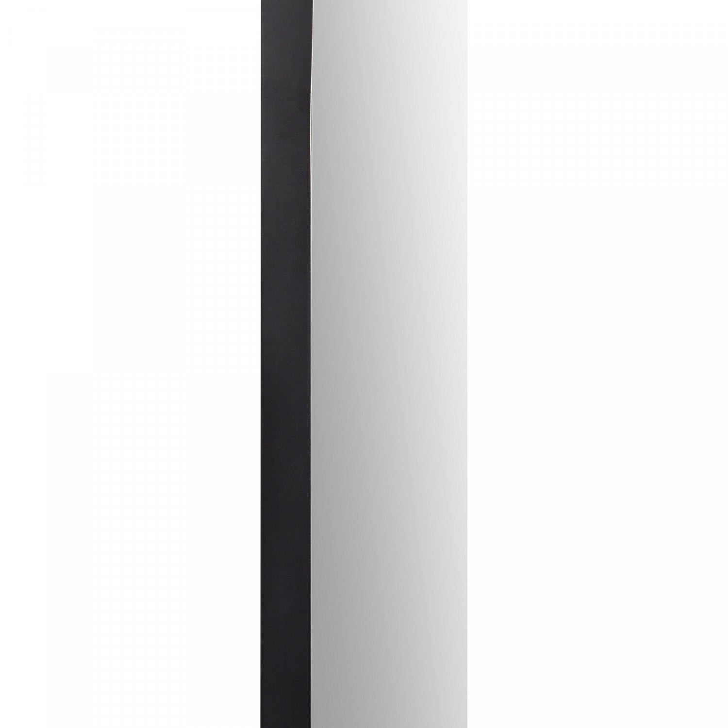 Webs Accent Mirror - Black