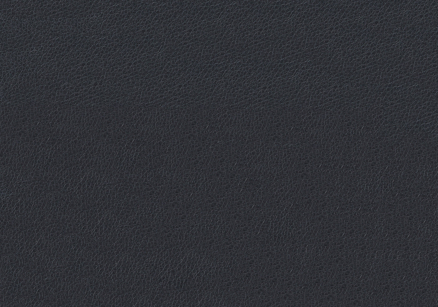 Fulton Dining Chair - Black/Chrome - Set Of Two