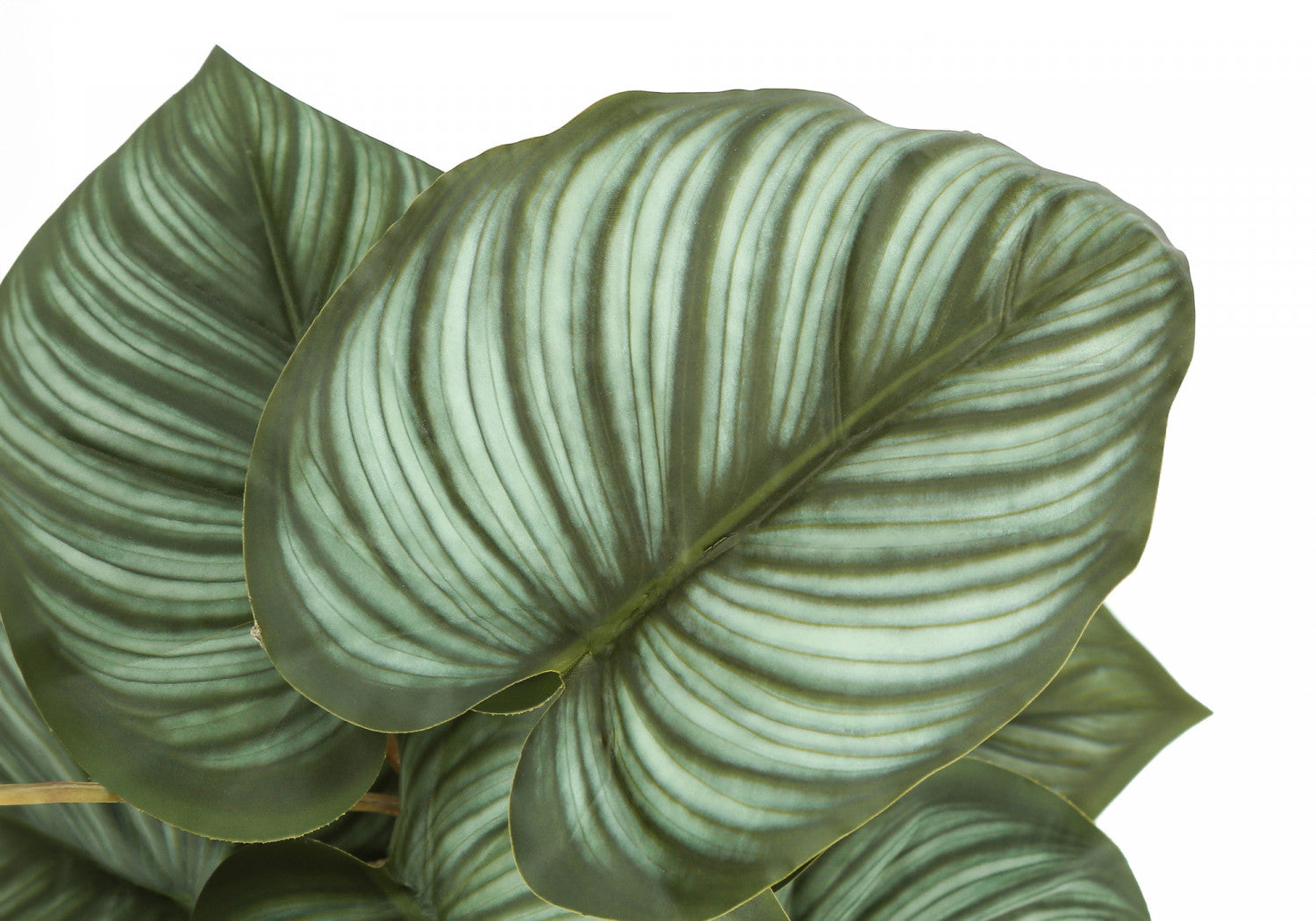 13" Epipremnum Plant With 4" Black Pot - Green - Set Of Two