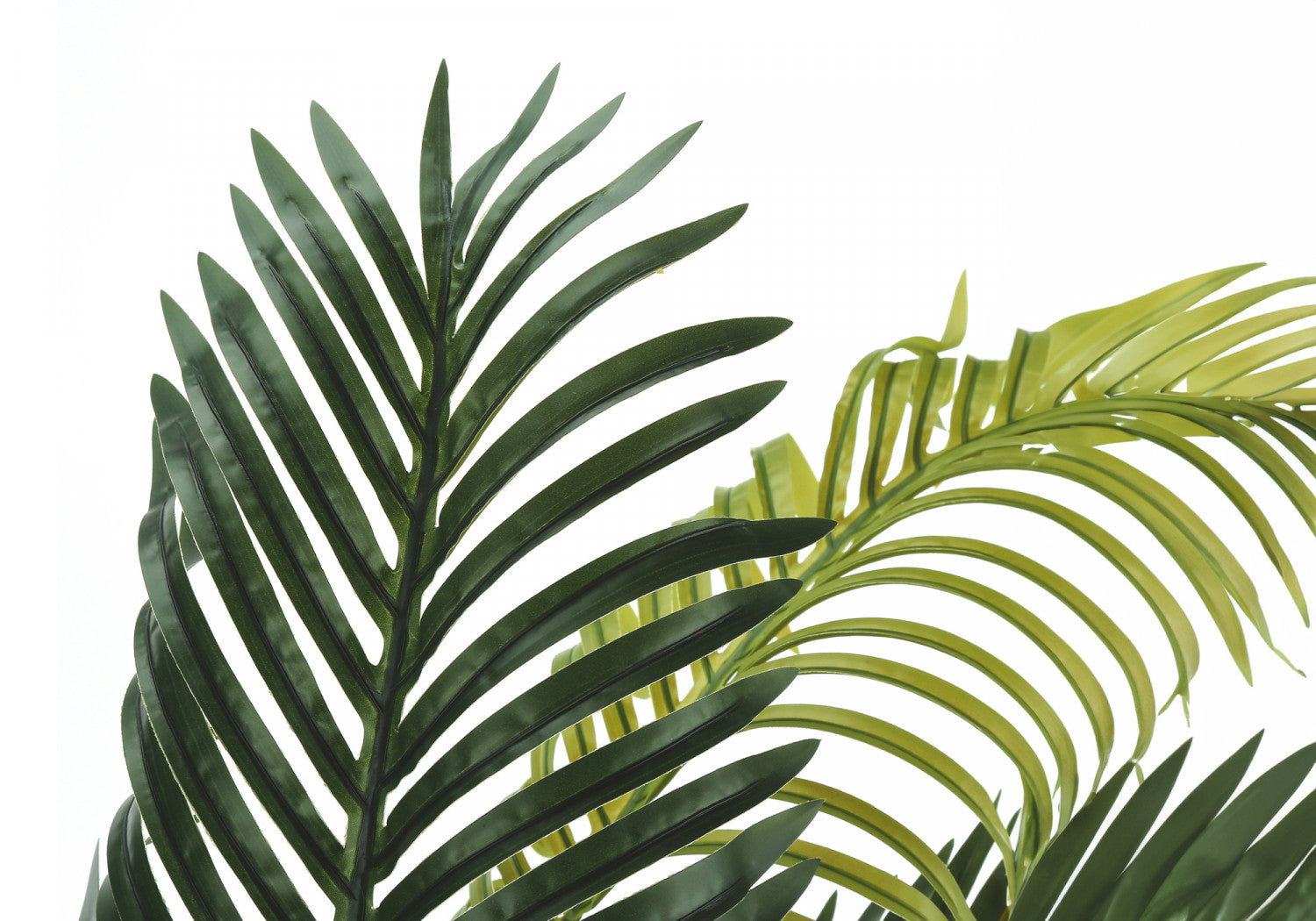 47" Palm Tree With 6" Black Pot - Green