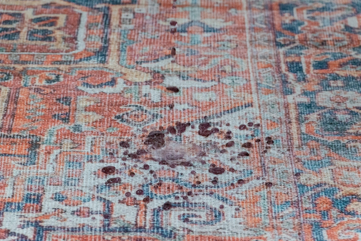 Aura Traditional Rug - 5' x 7' - Red/Blue