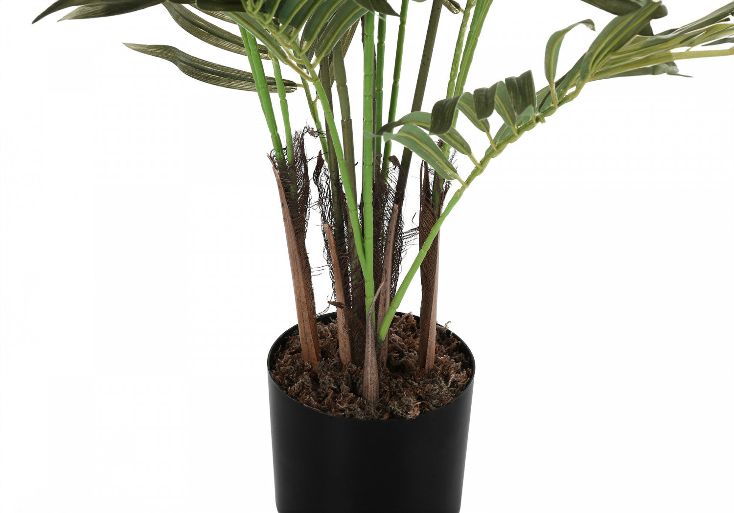 47" Areca Tree With 5" Black Pot - Green