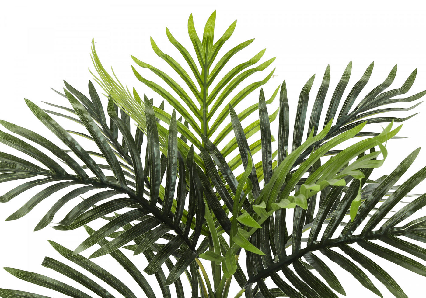 20" Palm Plant With 5" Black Pot - Green