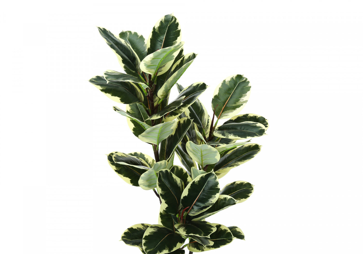 47" Oak Tree With 5" Black Pot - Green