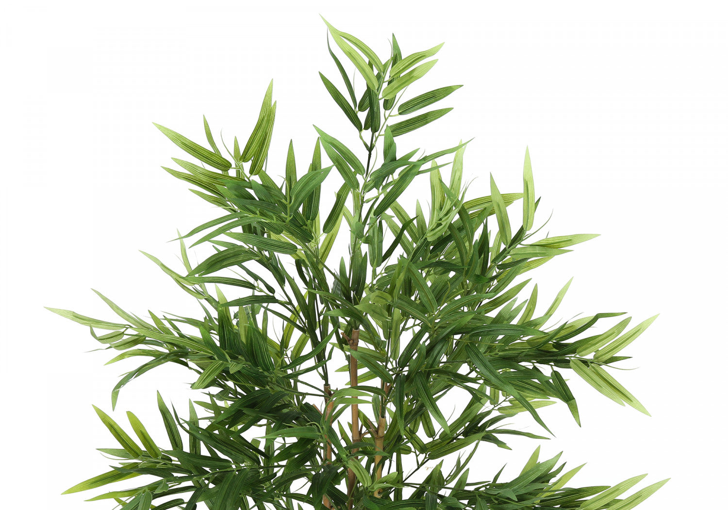 50" Bamboo Tree With 5" Black Pot - Green