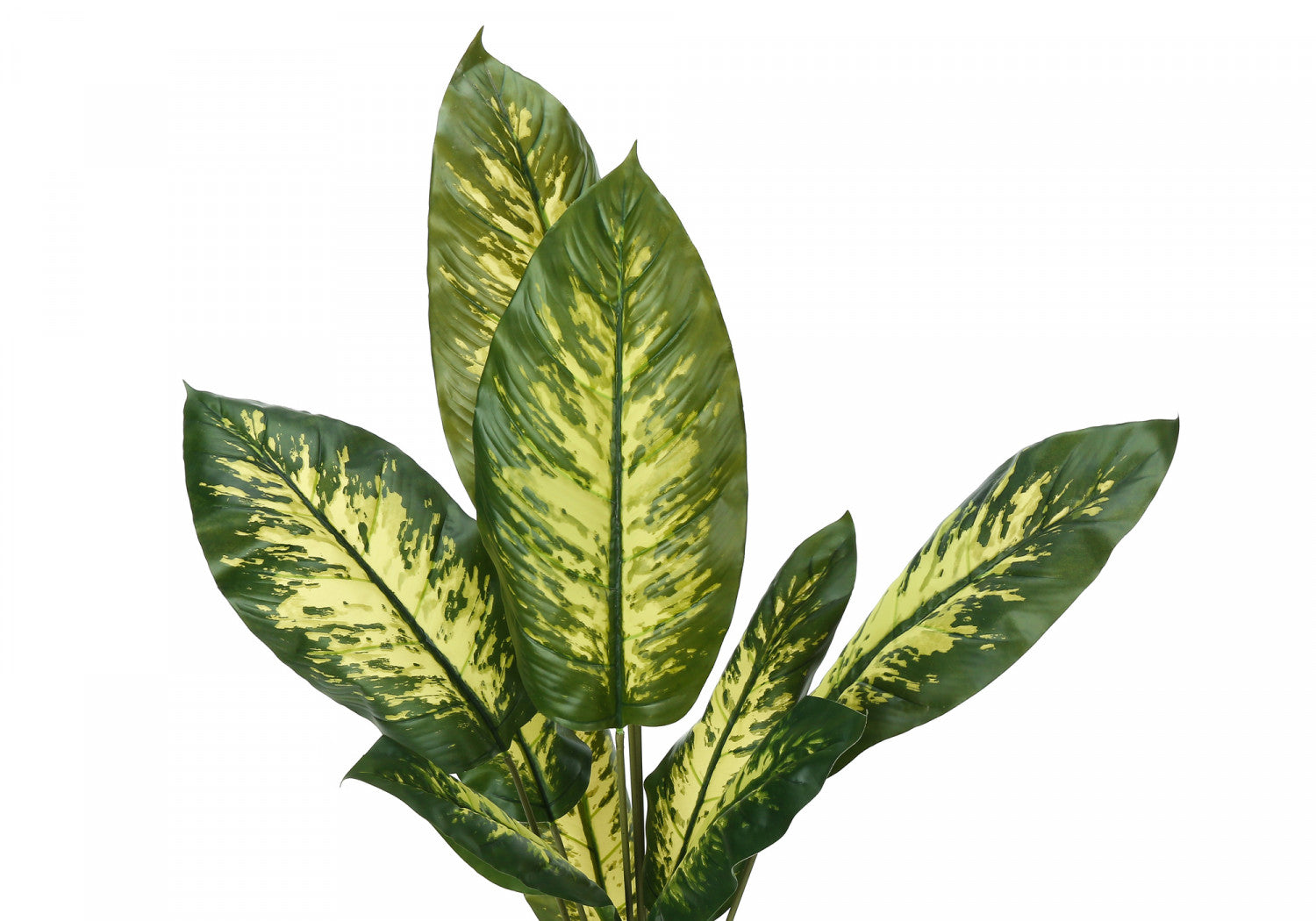 47" Evergreen Plant With 5" Black Pot - Green