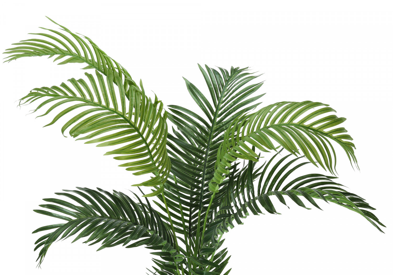 47" Palm Tree With 5" Black Pot - Green