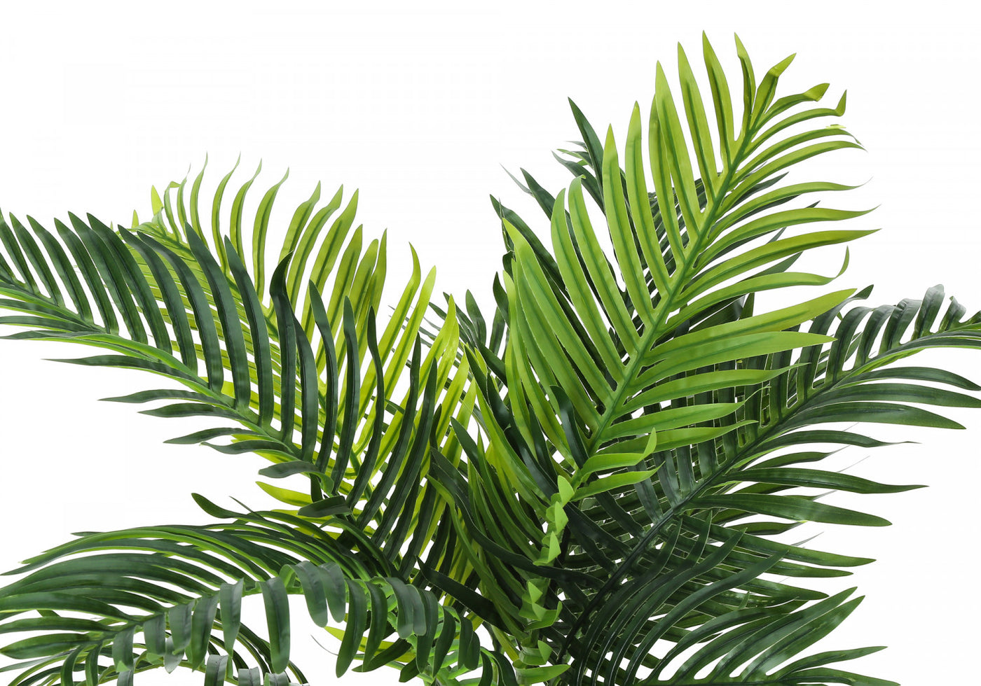 34" Palm Tree With 5" Black Pot - Green