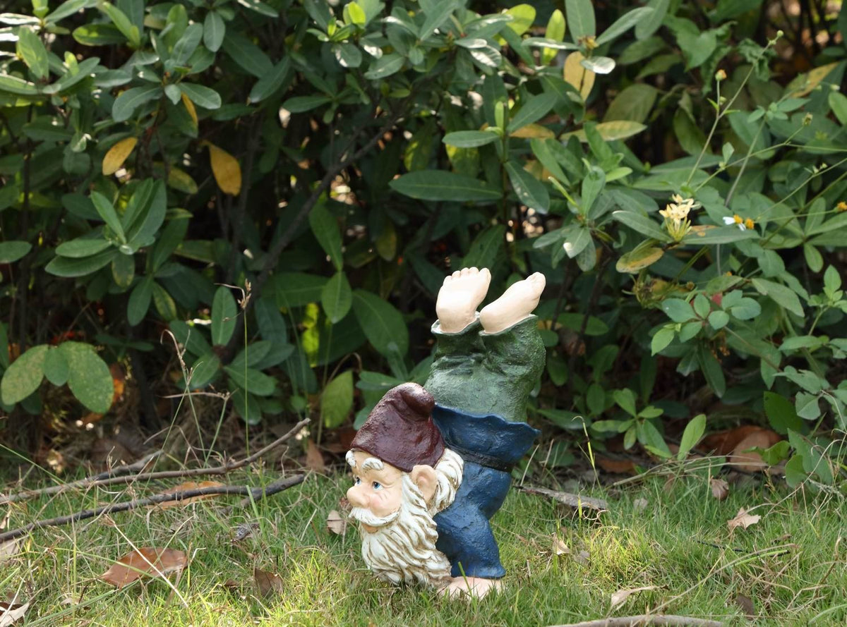 Notty Gnome - IV Statue - Blue/ Green