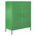 Channing 2 Door Storage Cabinet with Mesh Metal - Kelly Green