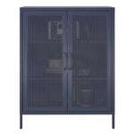 Channing 2 Door Storage Cabinet with Mesh Metal - Navy