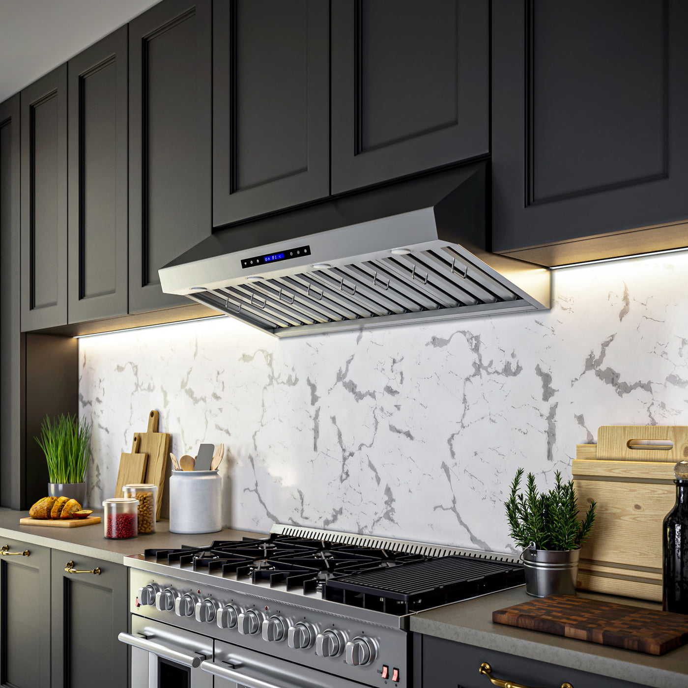 Forno Palazzo Stainless Steel 48" 1000 CFM Wall Mounted Range Hood - FRHWM5030-48