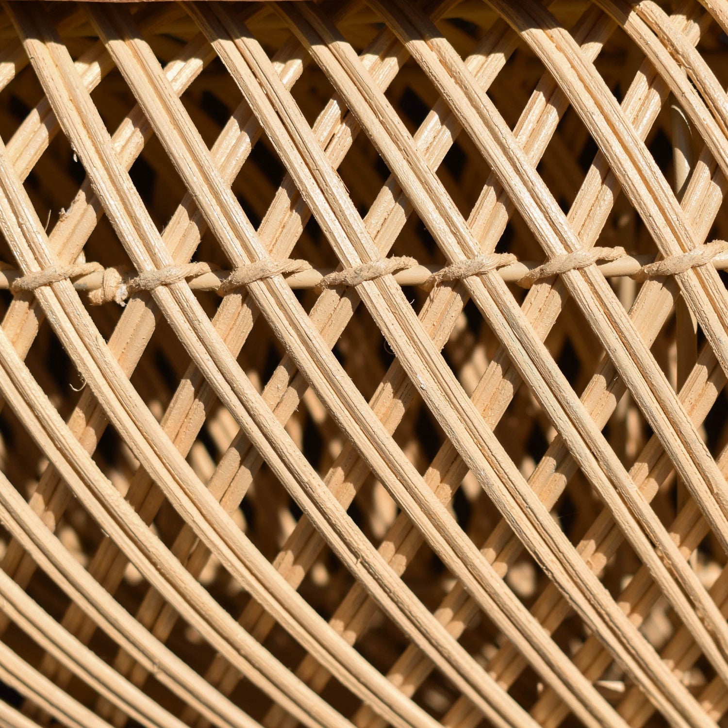 Bayan Wave Coffee Table - Natural