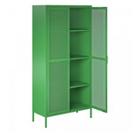 Channing Tall 2 Door Storage Cabinet with Mesh Metal - Kelly Green