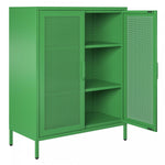 Channing 2 Door Storage Cabinet with Mesh Metal - Kelly Green