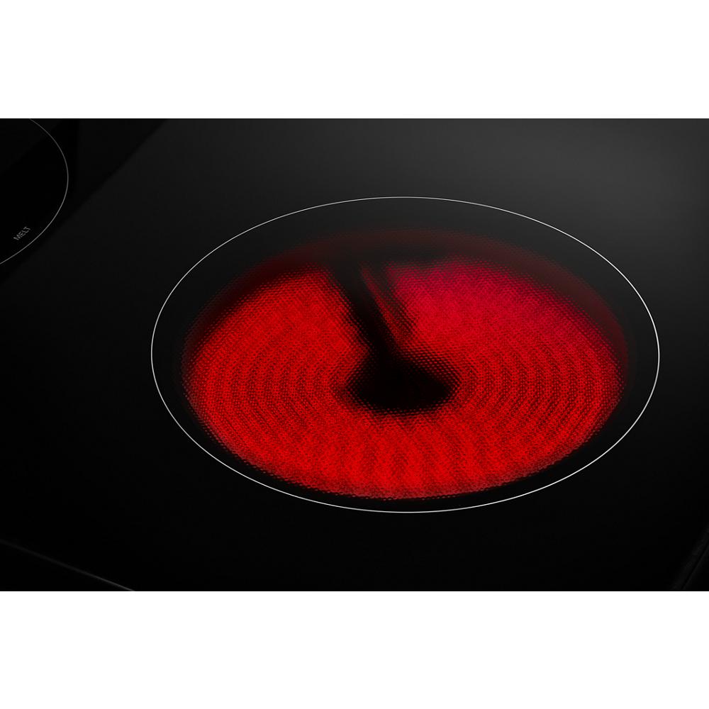 Amana Stainless Steel Freestanding Electric Range (4.8 Cu. Ft.) - YAER6203MSS