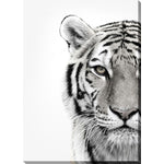 Colourless Tiger Canvas Wall Art - 30 X 45
