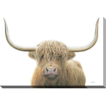 Perfect Highland Head Shot I Canvas Wall Art - 30 X 45